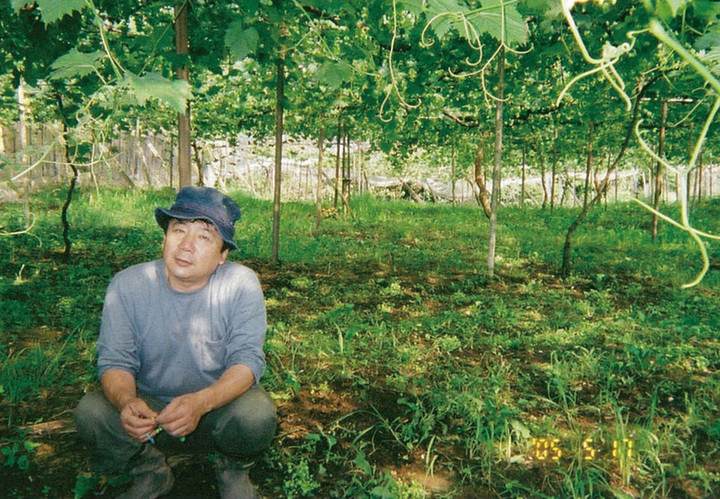 P22_04chihousousei_b_4c