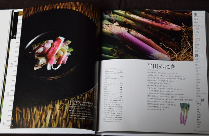 P22_09chihousousei_c_4c